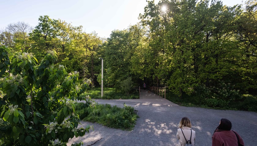 <p>Na zdjęciu Park Popowicki</p>