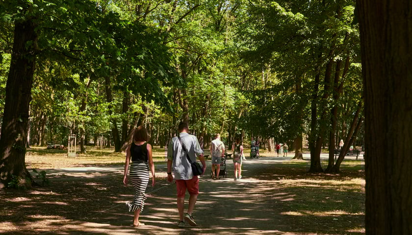<p>Na zdjęciu Park Zachodni</p>