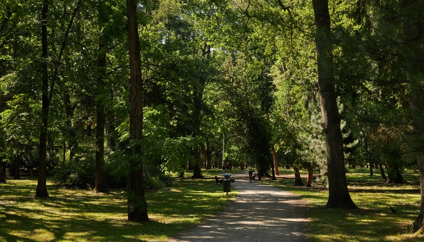 Na zdjęciu Park Zachodni