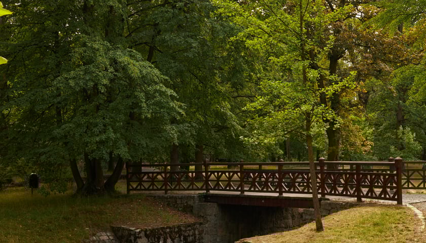 Na zdjęciu Park Szczytnicki