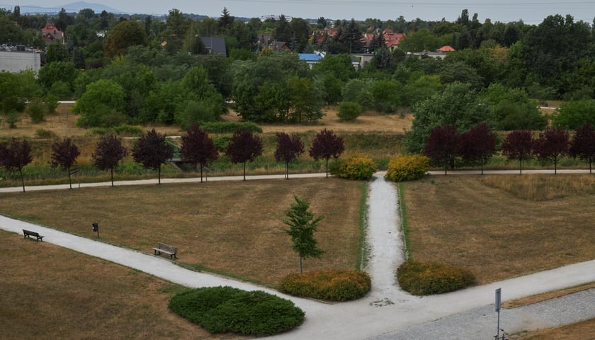 Na zdjęciu Park Grabiszyński