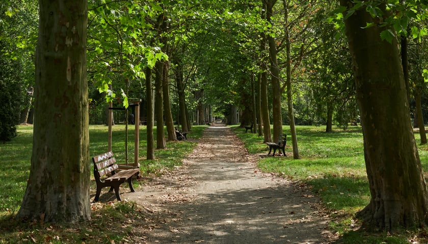 Na zdjęciu Park Skowroni