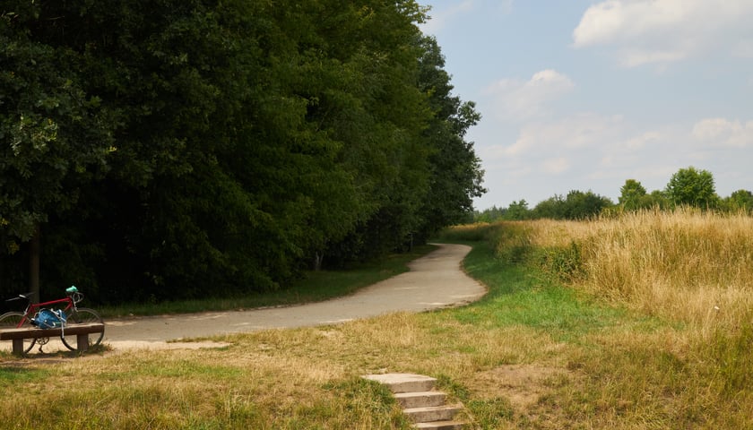 <p>Na zdjęciu Park Tysiąclecia</p>