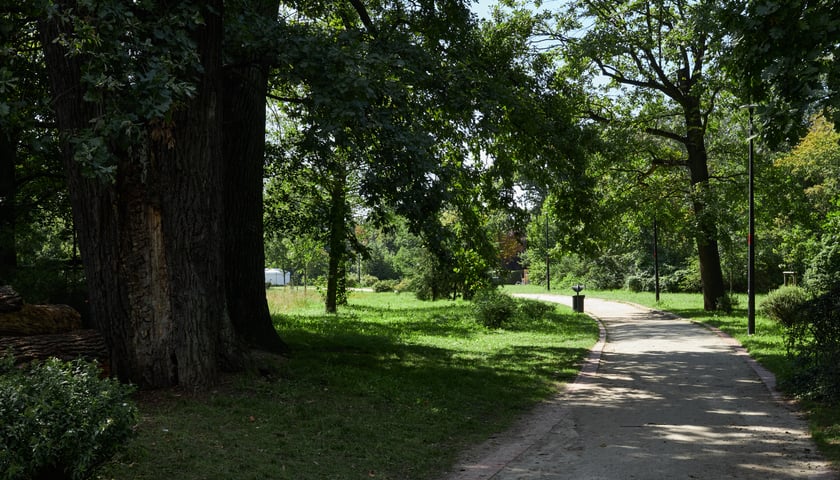 Na zdjęciu Park Leśnicki