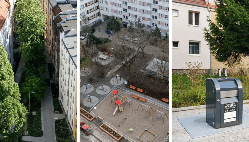 Trzy odmienione podwórka z nową zielenią, małą architekturą i śmietnikami