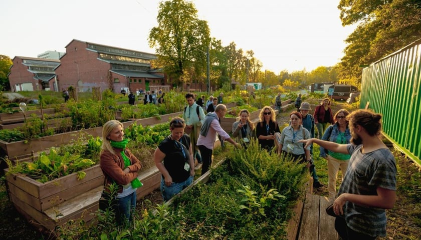 <p>Ogr&oacute;d społeczny na tyłach dawnej zajezdni przy ul. Tramwajowej we Wrocławiu</p>