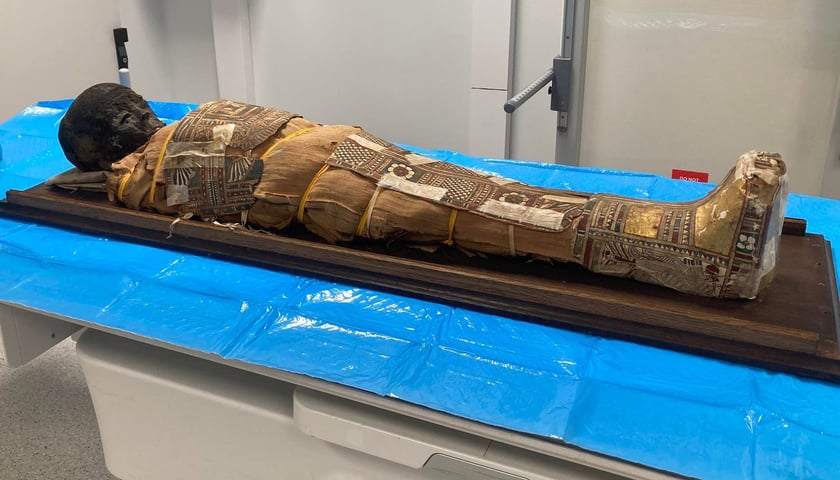 Egipska mumia chłopca ze zbiorów Muzeum Archidiecezjalnego we Wrocławiu