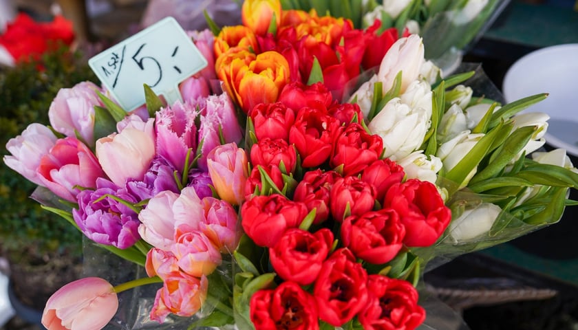 Kwiaty na Dzień Kobiet 2026