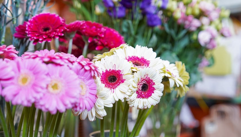 Kwiaty na Dzień Kobiet 2026