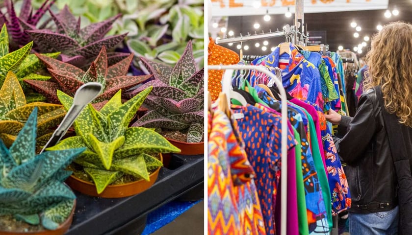 Po lewej: rośliny, po prawej: stoisko z ubraniami