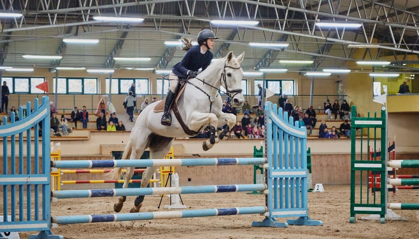 Zawodniczka na białym koniu przeskakuje przez przeszkodę w hali jeździeckiej - zdjęcie ilustracyjne.