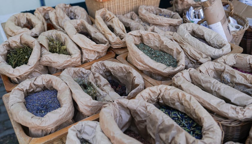 Dolnośląski Targ Rolny przy ul. Zwycięskiej we Wrocławiu, 14.03.2026