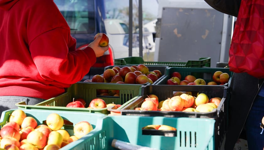 Dolnośląski Targ Rolny przy ul. Zwycięskiej we Wrocławiu, 14.03.2026