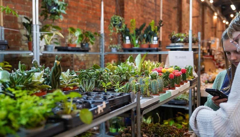 Festiwalu Kupuj Świadomie w Czasoprzestrzeni - 15.03.2026 r.