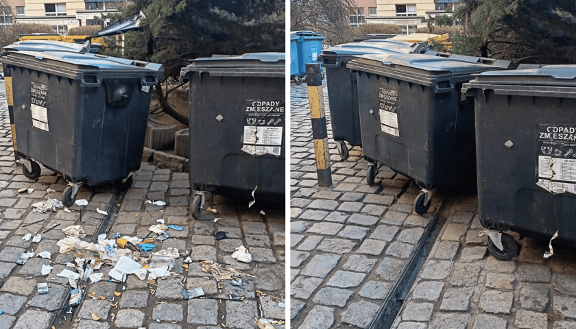 <p>Przed i po sprzątaniu w centrum miasta. Straż Miejska Wrocławia wręcza mandaty, Biuro Rozwoju Gospodarczego edukuje</p>