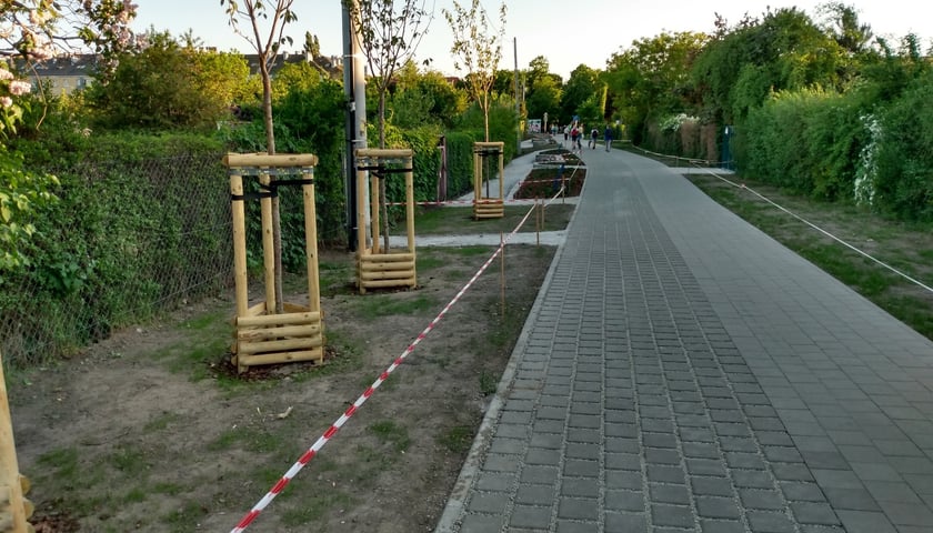 Rowerzyści i piesi przemieszczą się wygodnie od skweru Ludzi ze znakiem P do wałów przeciwpowodziowych nad Odrą