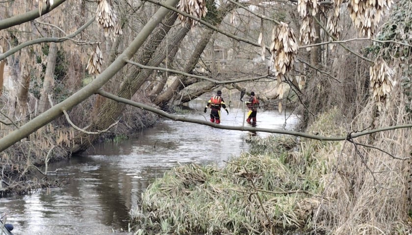 Akcja związana z przeszukiwaniem rzeki Młynówki w Kiełczówku pod Wrocławiem