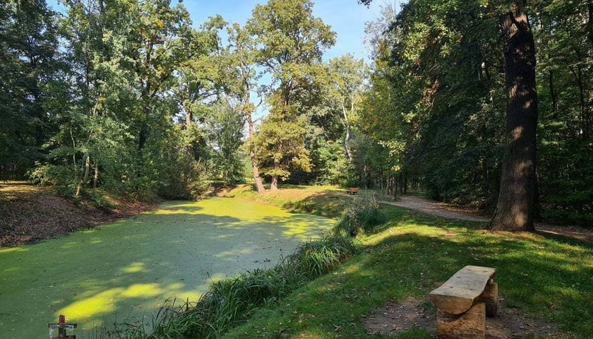 Park Świetlik&oacute;w na Maślicach