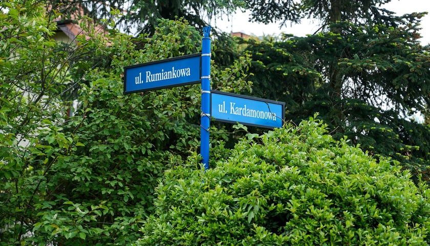 <p>Tabliczka z nazwami ulic Rumiankowa i Kardamonowa</p>