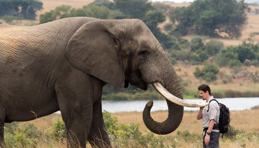 Tomasz Michniewicz i słoń.