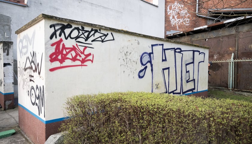 <p>Pośr&oacute;d zwykłych bazgroł&oacute;w, niekt&oacute;re napisy są zakamuflowaną mową nienawiści</p>