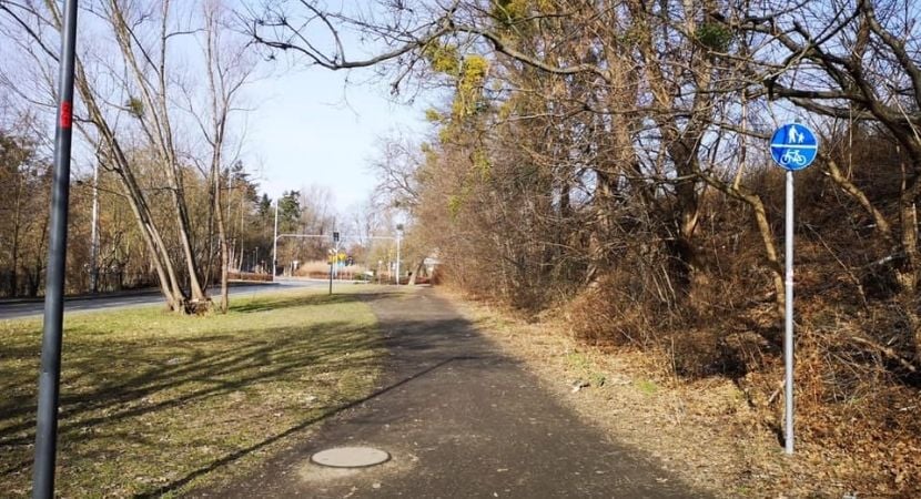Nowe trasy pieszo-rowerowe na Skarbowców, Racławickiej i al. Piastów