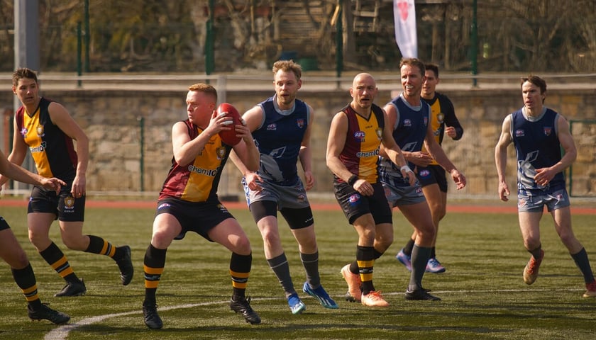 Zawodnicy Lions Wrocław z żółtych strojach w czasie meczu ze szkocką ekipą Kingdom Kangaroos. Na pierwszym planie z piłką Łukasz Grząbka z Lions.