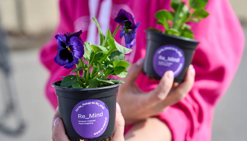 Wrocławianie otrzymali doniczki z kwiatami. Wcześniej zakrywały tajemniczy napis