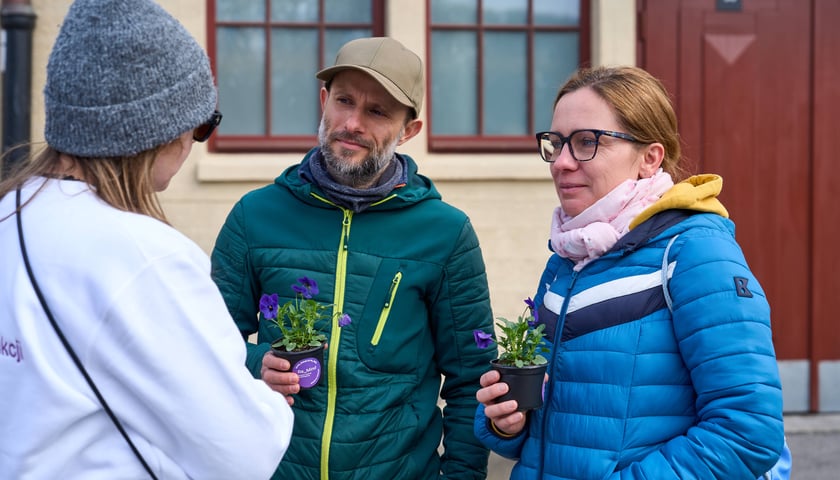 Wrocławianie otrzymali doniczki z kwiatami. Wcześniej zakrywały tajemniczy napis