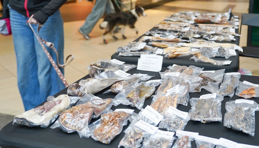 PSYwitanie wiosny w Pasażu Grunwaldzkim 2026