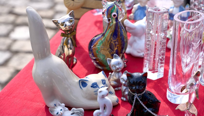 Targ Staroci pod Iglicą - marzec 2026