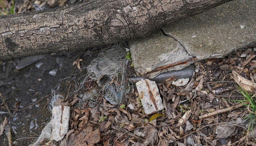 Sprzątamy Rzeki Wrocławia 2026 - pierwszy raz w tym roku