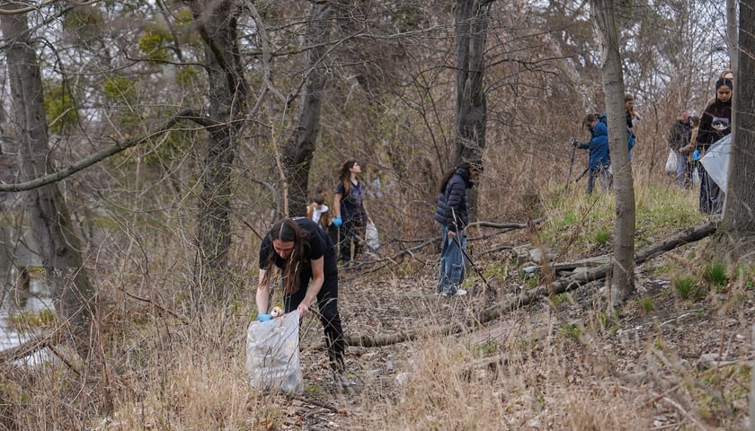 Ludzie sprzątający wybrzeże Oławy podczas akcji Sprzątamy Rzeki Wrocławia 2026
