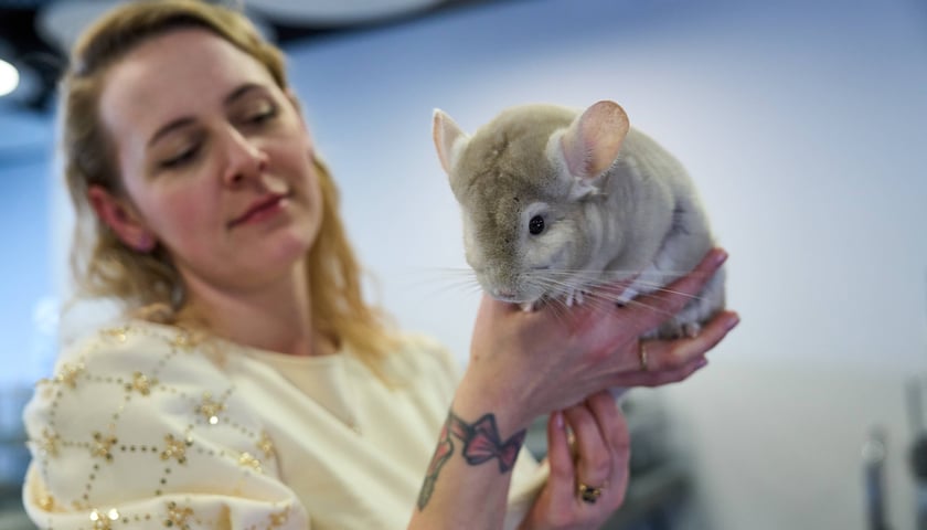 Dolnośląskie Targi Zoologiczne na Tarczyński Arena Wrocław. Na zdjęciu kobieta trzyma kudłate zwierzę