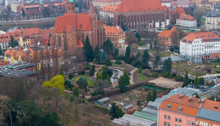 Budowa Palmiarni w Ogrodzie Botanicznym we Wrocławiu