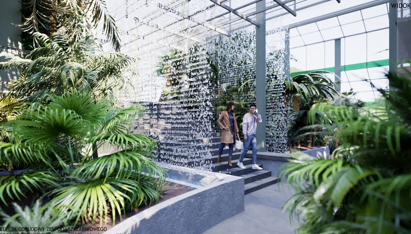 Nowa Palmiarnia w Ogrodzie Botanicznym we Wrocławiu. Na ilustracji wnętrze pełne roślin i para spacerujących ludzi