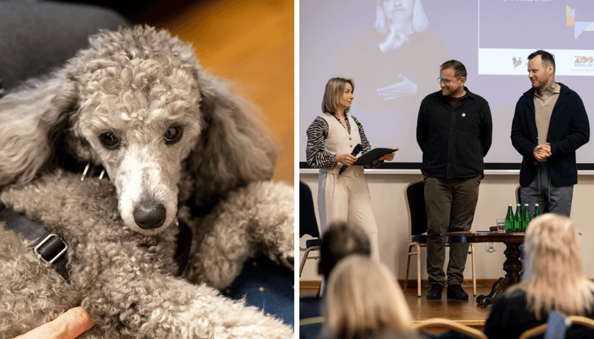 Zestawienie dwóch zdjęć: z lewej pudel, z prawej uczestnicy I Dolnośląskiego Kongresu Praw Zwierząt we Wrocławiu