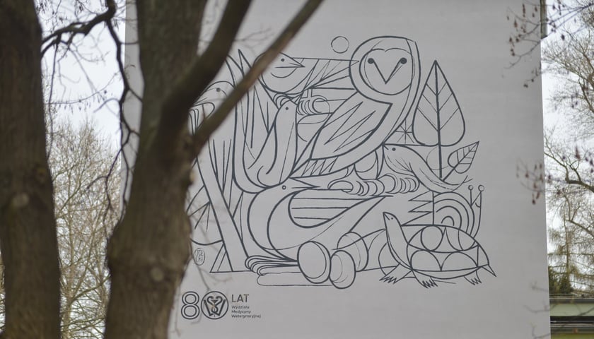 Nowy mural Oteckiego na budynku Katedry Epizootiologii z Kliniką Ptaków i Zwierząt Egzotycznych Uniwersytetu Przyrodniczego we Wrocławiu