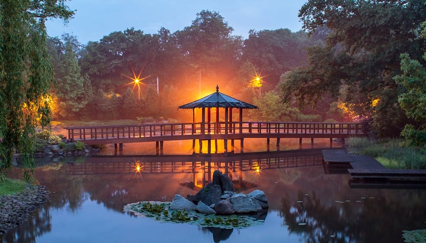 Na zdjęciu drewniany most w Ogrodzie Japońskim rozświetlony wieczorową porą