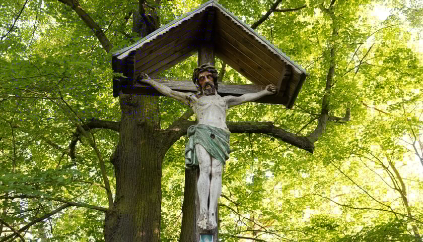 <p>Stuletni krzyż nad Odrą. Zdjęcie z 2025 roku, przed renowacją.</p>