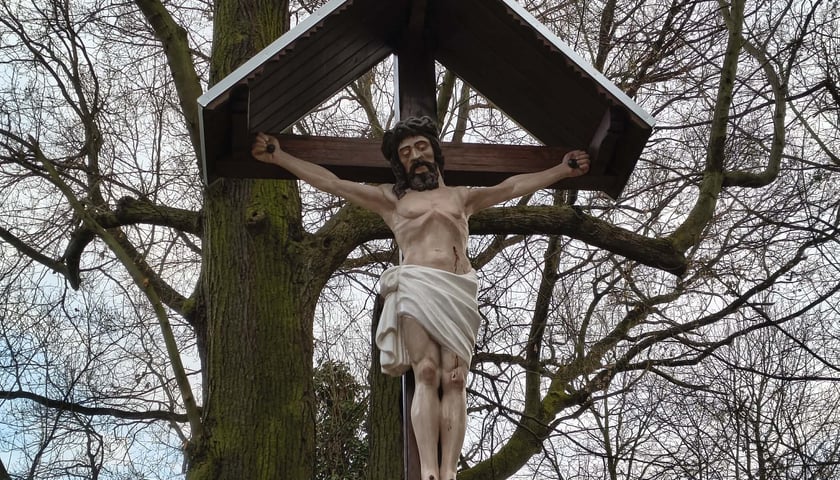 <p>Stuletni krzyż nad Odrą. Marzec 2026.</p>