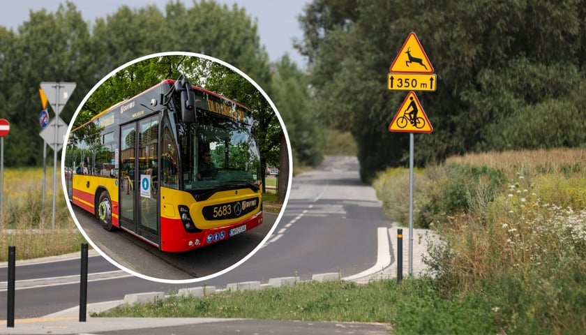 Na dużym zdjęciu widok na ulicę Żwirki i Wigury Zachodnią. Na małym zdjęciu autobus aglomeracyjny (zdjęcie ilustracyjne).