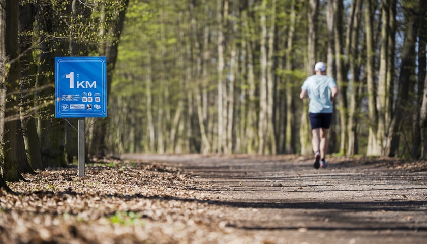 Trasa biegowa wzdłuż Kanału Żeglugowego i Powodziowego między Mostami Chrobrego a Jagiellońskimi 