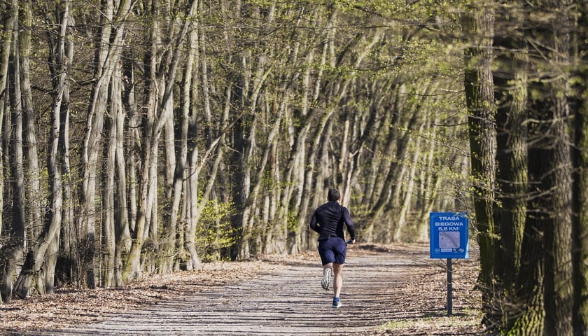 Trasa biegowa wzdłuż Kanału Żeglugowego i Powodziowego między Mostami Chrobrego a Jagiellońskimi