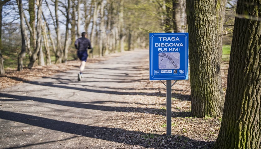 Trasa biegowa wzdłuż Kanału Żeglugowego i Powodziowego między Mostami Chrobrego a Jagiellońskimi