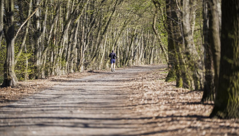 Trasa biegowa wzdłuż Kanału Żeglugowego i Powodziowego między Mostami Chrobrego a Jagiellońskimi