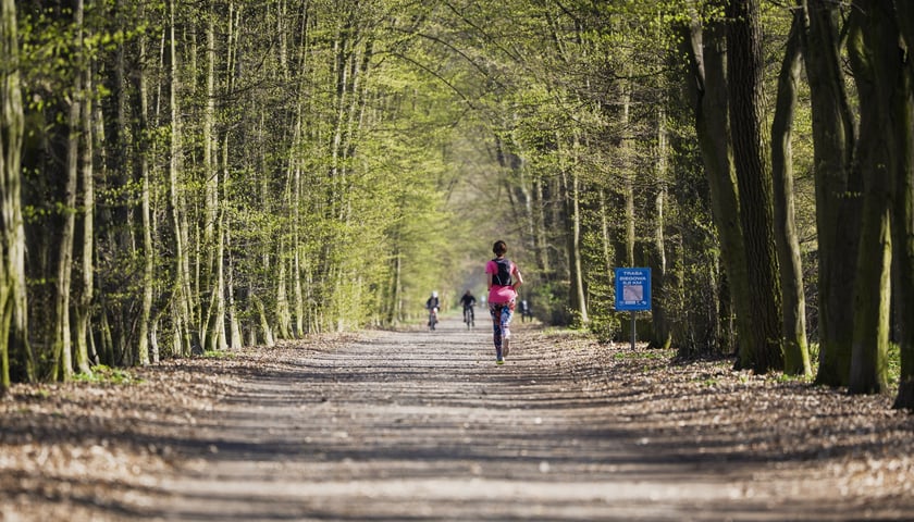 Trasa biegowa wzdłuż Kanału Żeglugowego i Powodziowego między Mostami Chrobrego a Jagiellońskimi