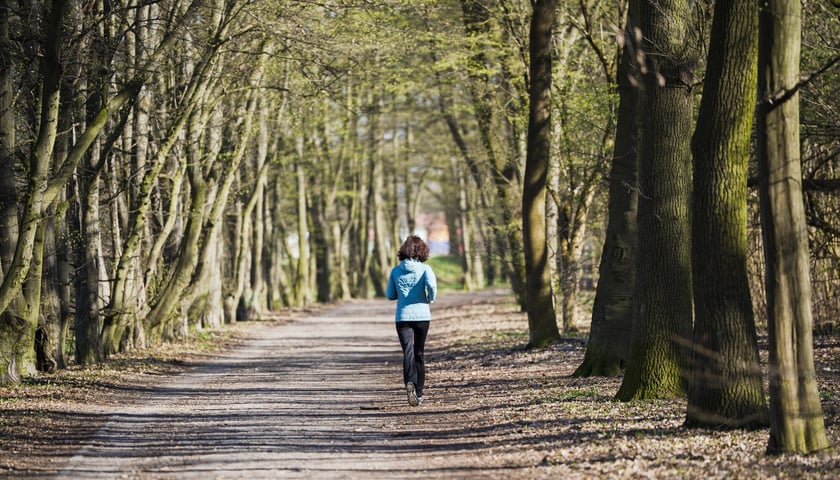 Trasa biegowa wzdłuż Kanału Żeglugowego i Powodziowego między Mostami Chrobrego a Jagiellońskimi