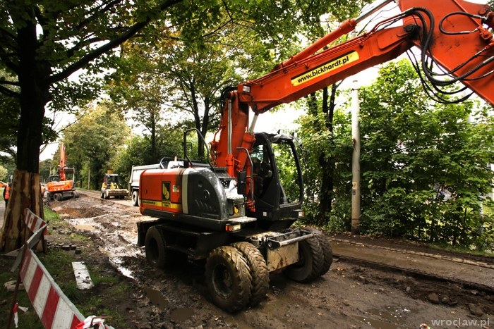 Remont Przyjaźni: za 40 wyciętych drzew posadzą ponad 130 nowych