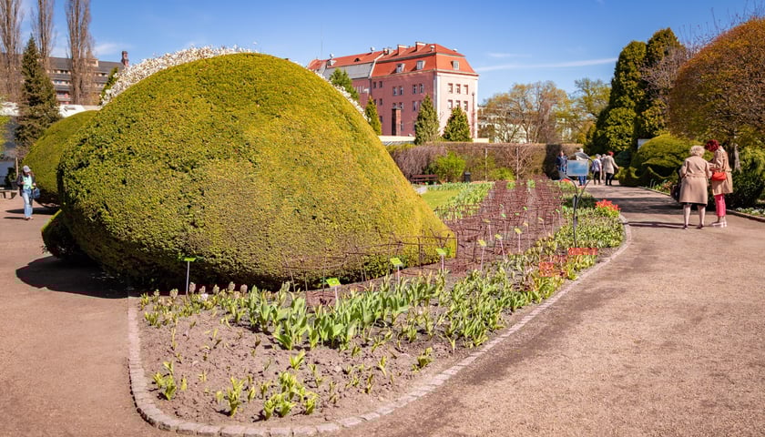 Spacer po Ogrodzie Botanicznym we Wrocławiu - Wielkanoc 2026